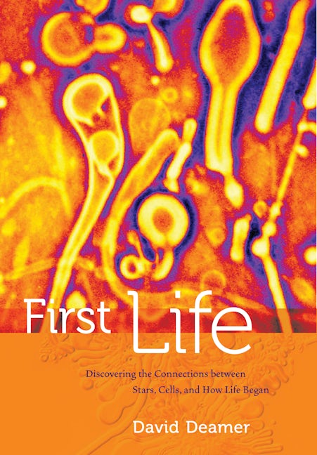 Book cover image for First Life ISBN: 9780520274457